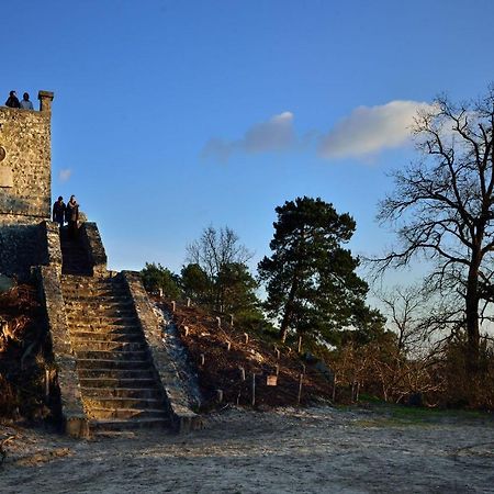 Le Denecourt - A Deux Pas De La Gare Et De La Foret De Fontainebleau Avon Exteriér fotografie